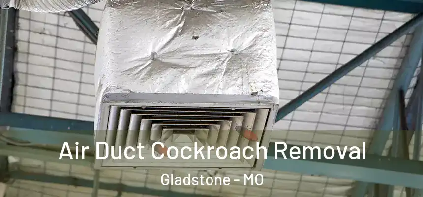 Air Duct Cockroach Removal Gladstone - MO