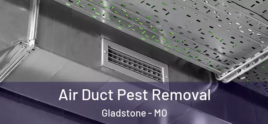  Air Duct Pest Removal Gladstone - MO