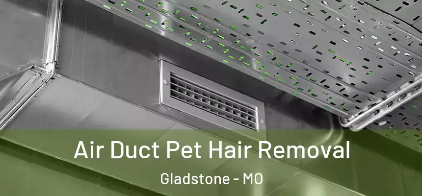 Air Duct Pet Hair Removal Gladstone - MO