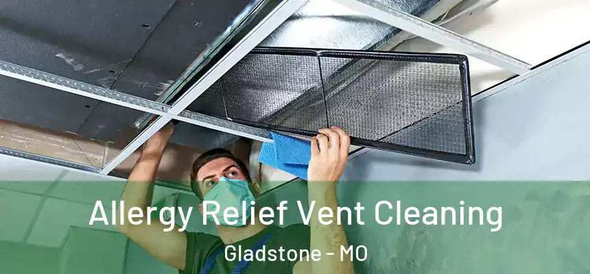 Allergy Relief Vent Cleaning Gladstone - MO