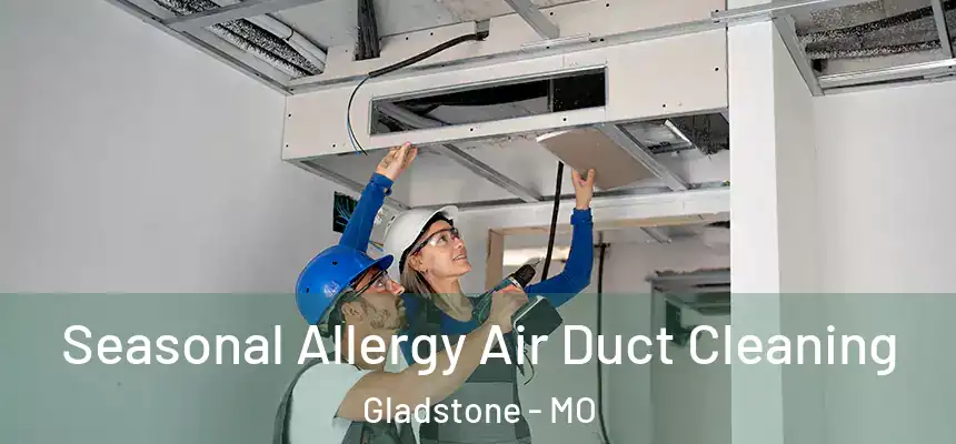 Seasonal Allergy Air Duct Cleaning Gladstone - MO