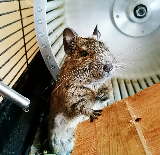 Why Homeowners & Businesses Trust Us Gladstone, MO?